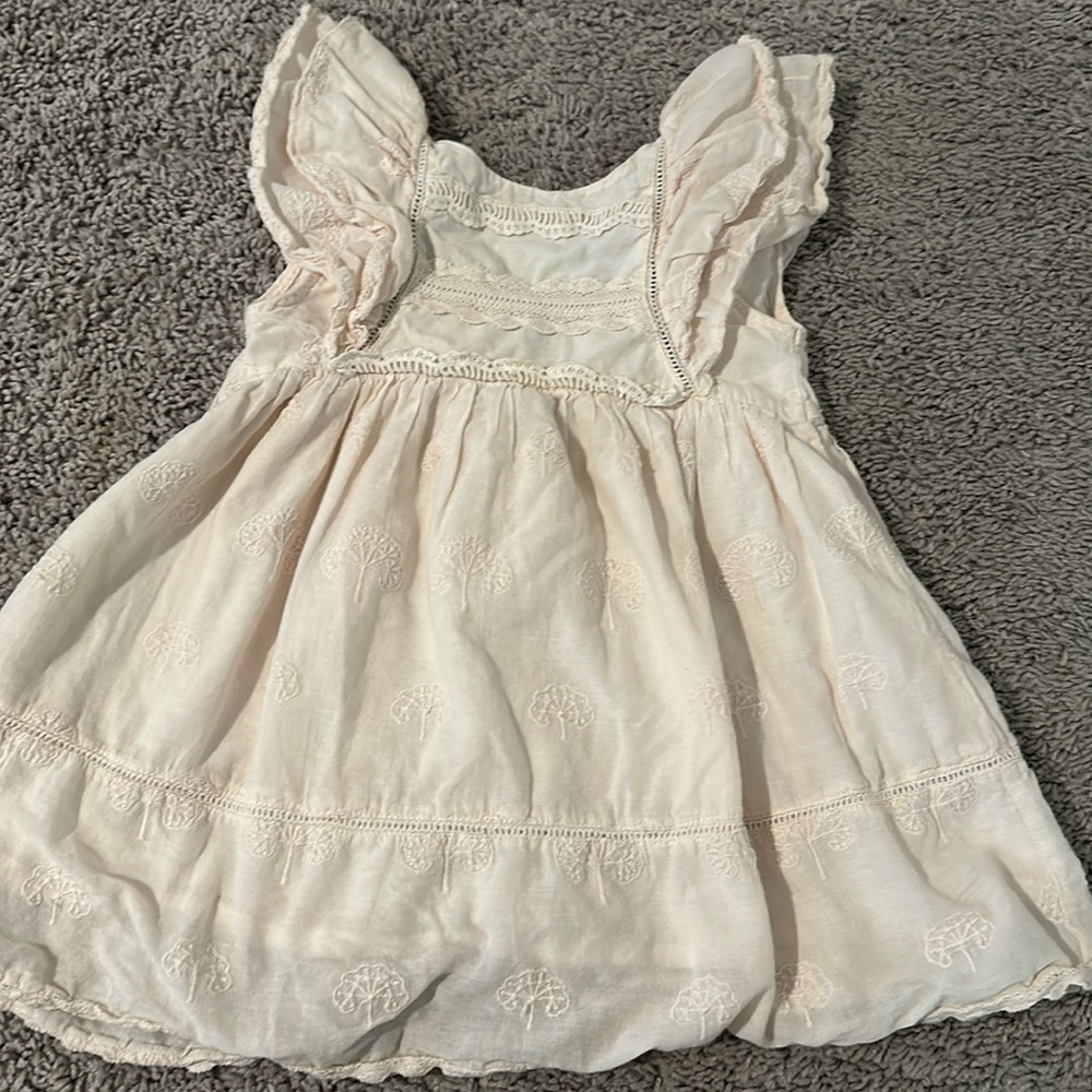 Zara dress